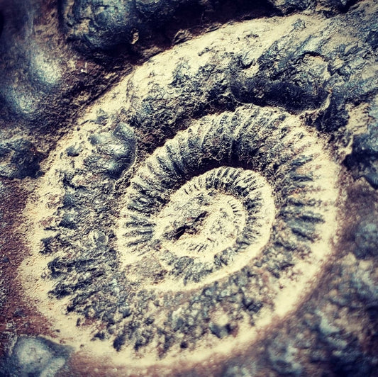 The Inward-Upward Spiral to Infinite and Limitless Potential