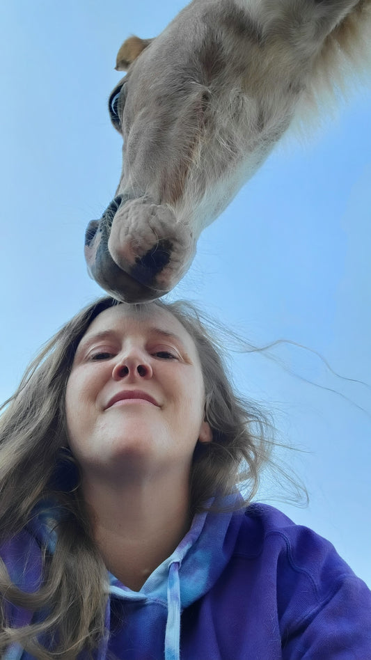Bliss by Equus and Surrendering to His Medicine