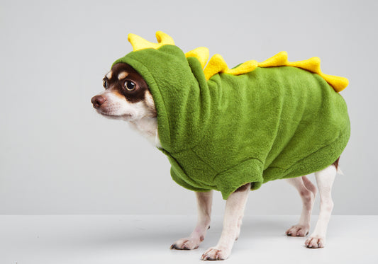 Starseed Mission Academy - Fear Transmutation Course 101 - Turn Monsters Into Puppies